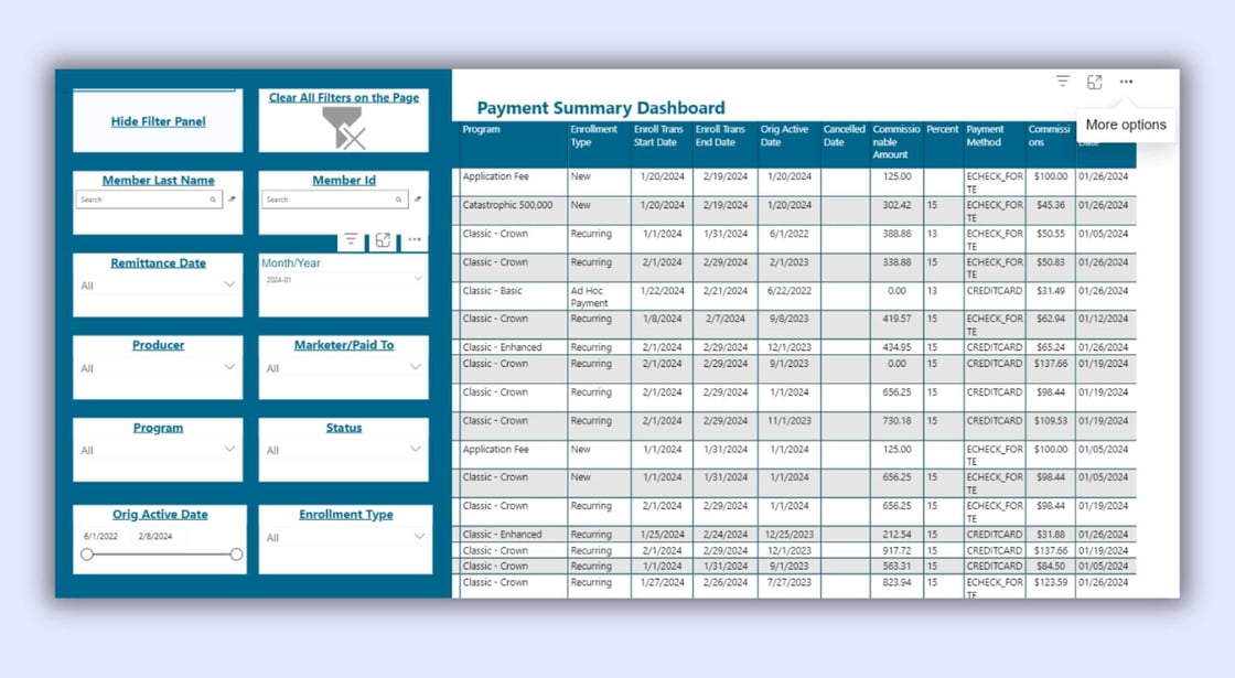 Payment Summary Dashboard Image